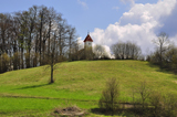 meni