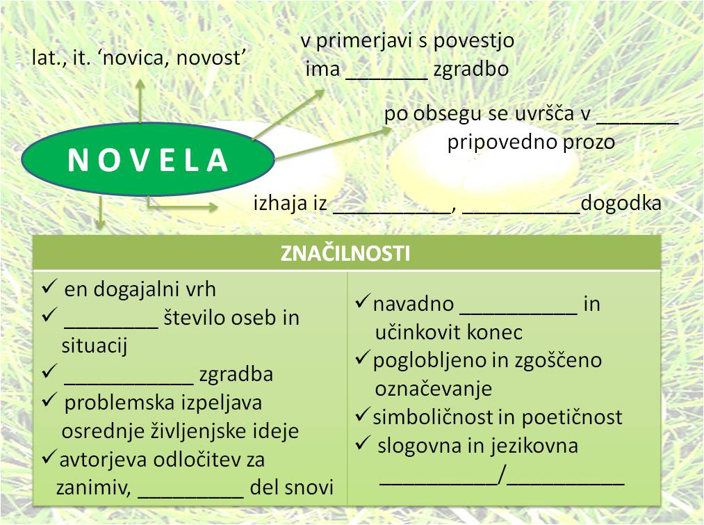 Novela