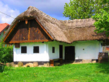 Meni feri