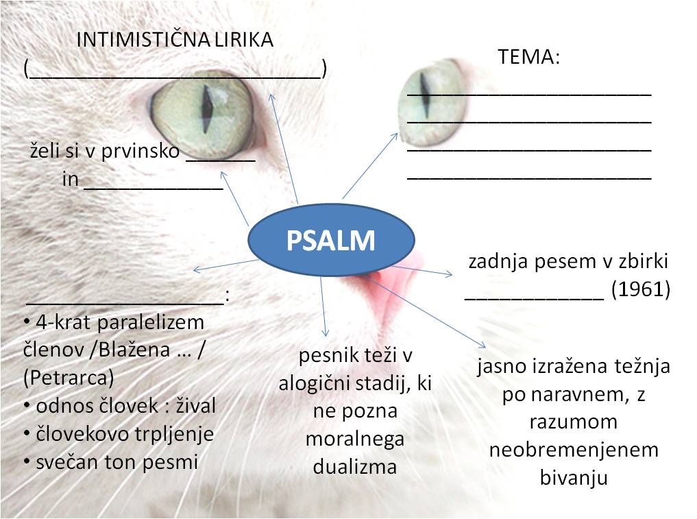 KovicevPsalm-test