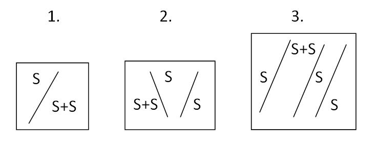 SS1