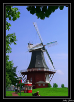 pavcek
