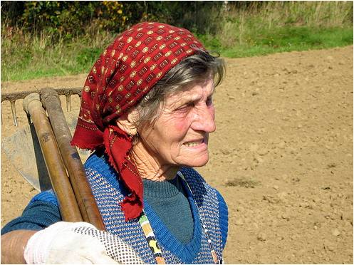 Delovnazenska3